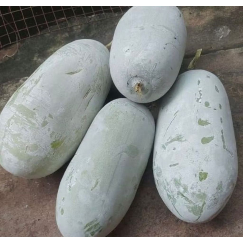 

￼buah beligo buah kundur 3 kg - 3,2 kg