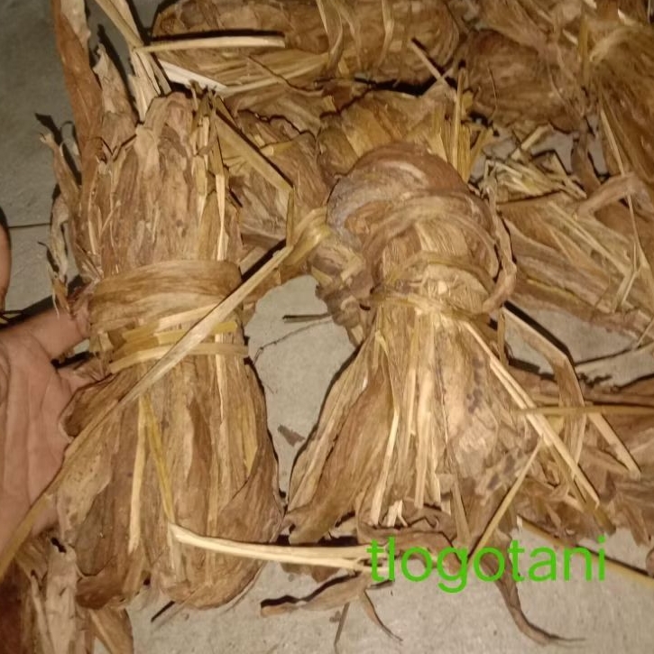 

daun kunyit kering 50 gram