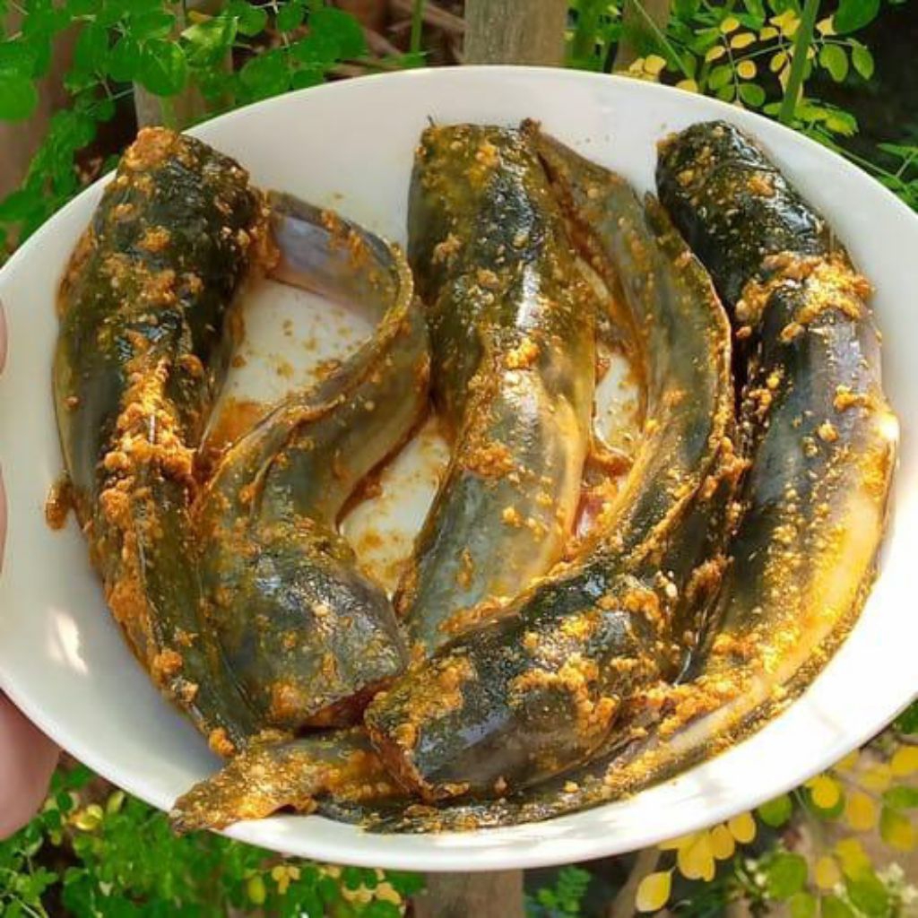 

Ikan lele marinasi Bumbu kuning Home Made Frees Siap goreng