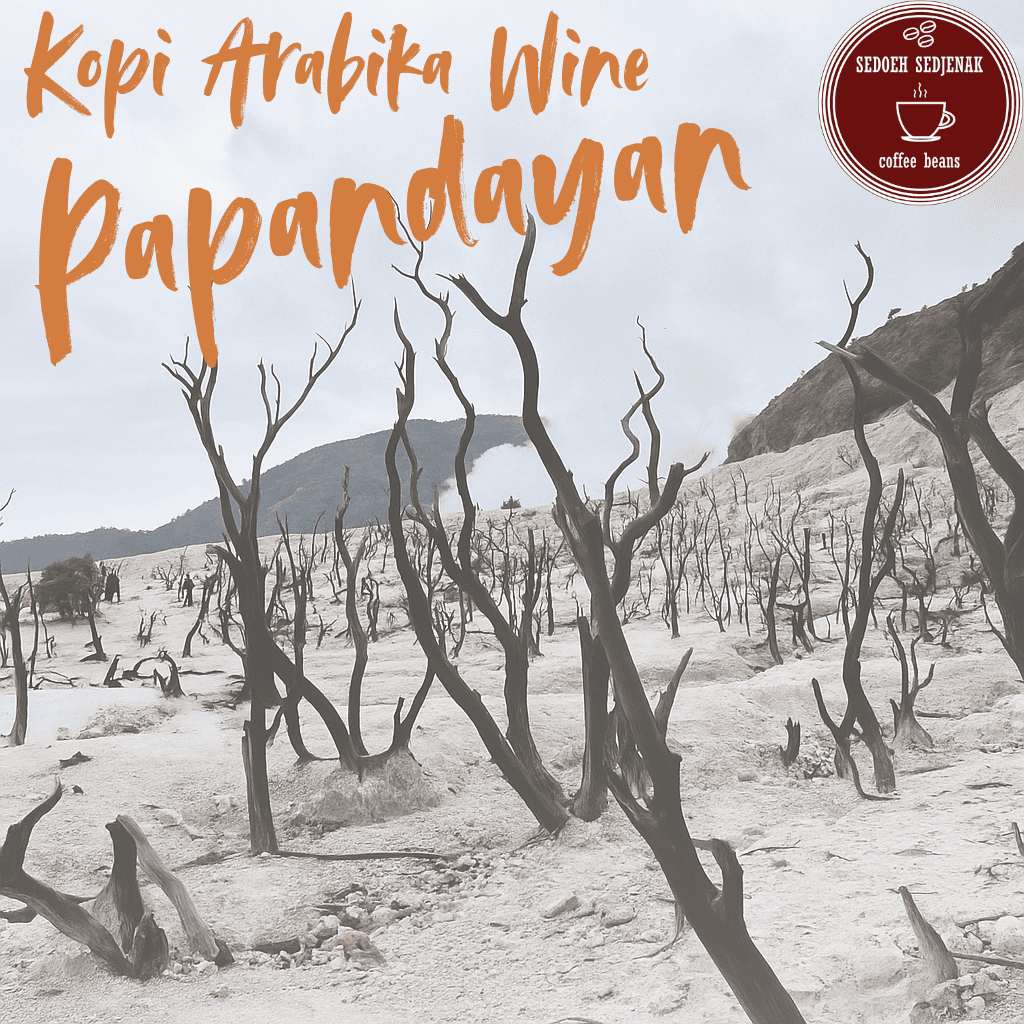 Kopi Papandayan Garut - Arabika Wine Proses - Tingkat Keasaman Tinggi (100gr Biji atau Bubuk)