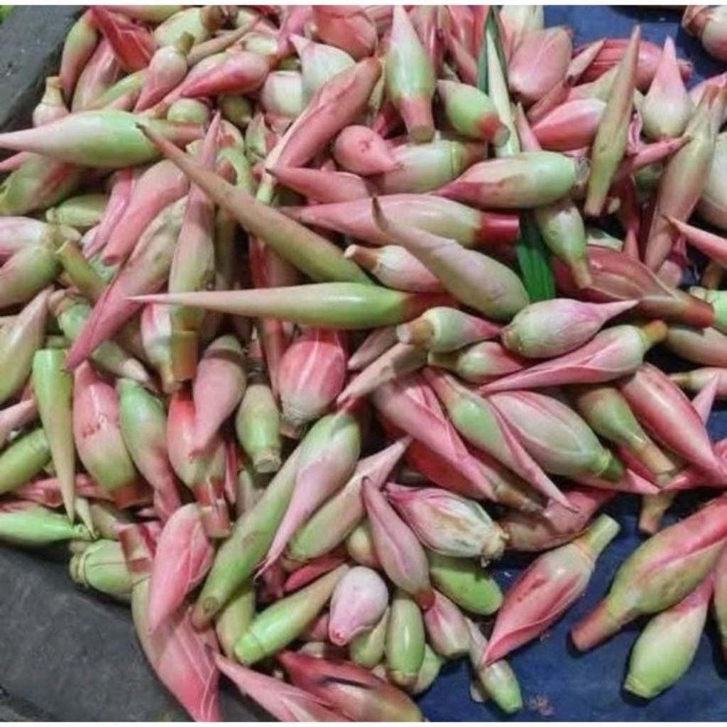 

isi paket 3 barang/ macam/gula aren asli 500 gram/pakis sayur segar 500 gram/bunga kecombrang 250 gram