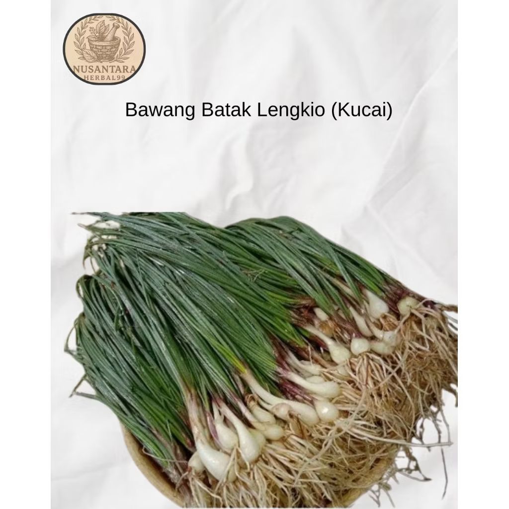 

Bawang Batak Lengkio Lokio Kucai Segar