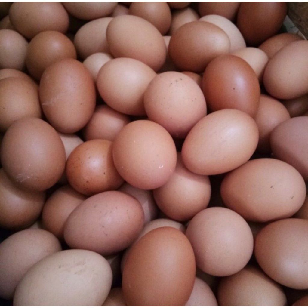 

Telur Ayam Negri 1kg