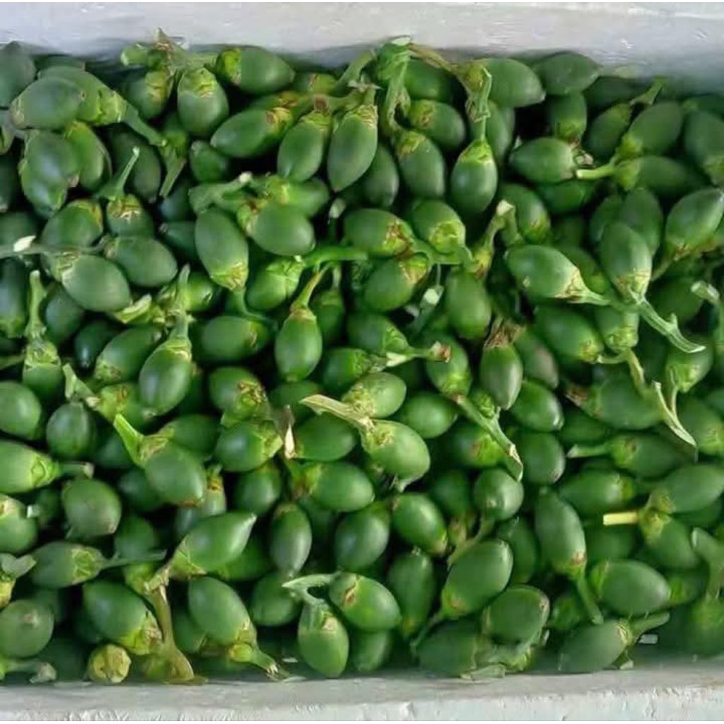 

pinang muda/pinang jus segar