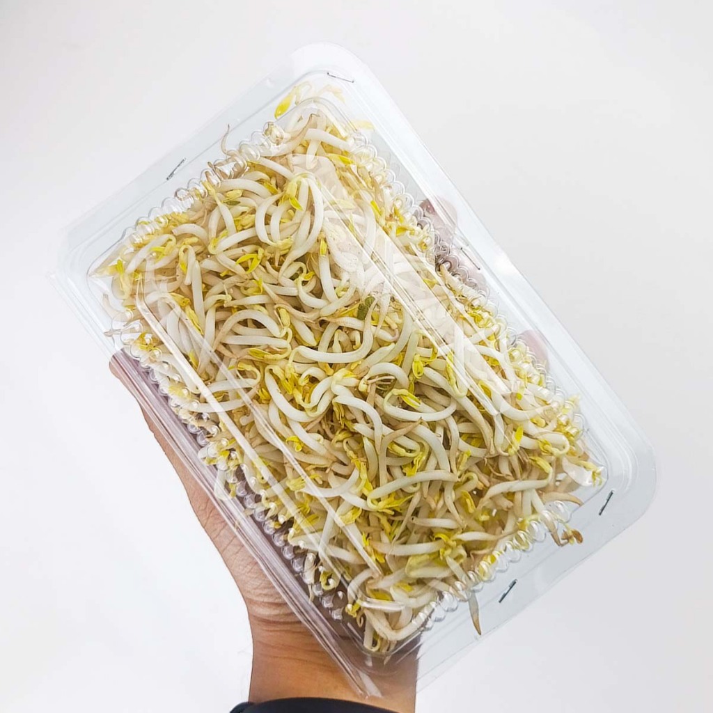 

Toge Segar Siap Masak 150g {Pack]