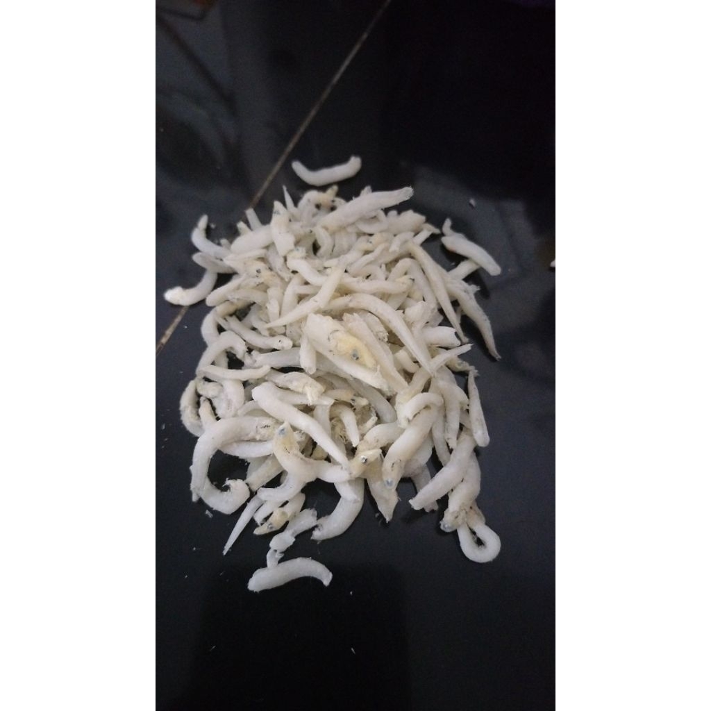 

Teri nasi Grade B 500 gram