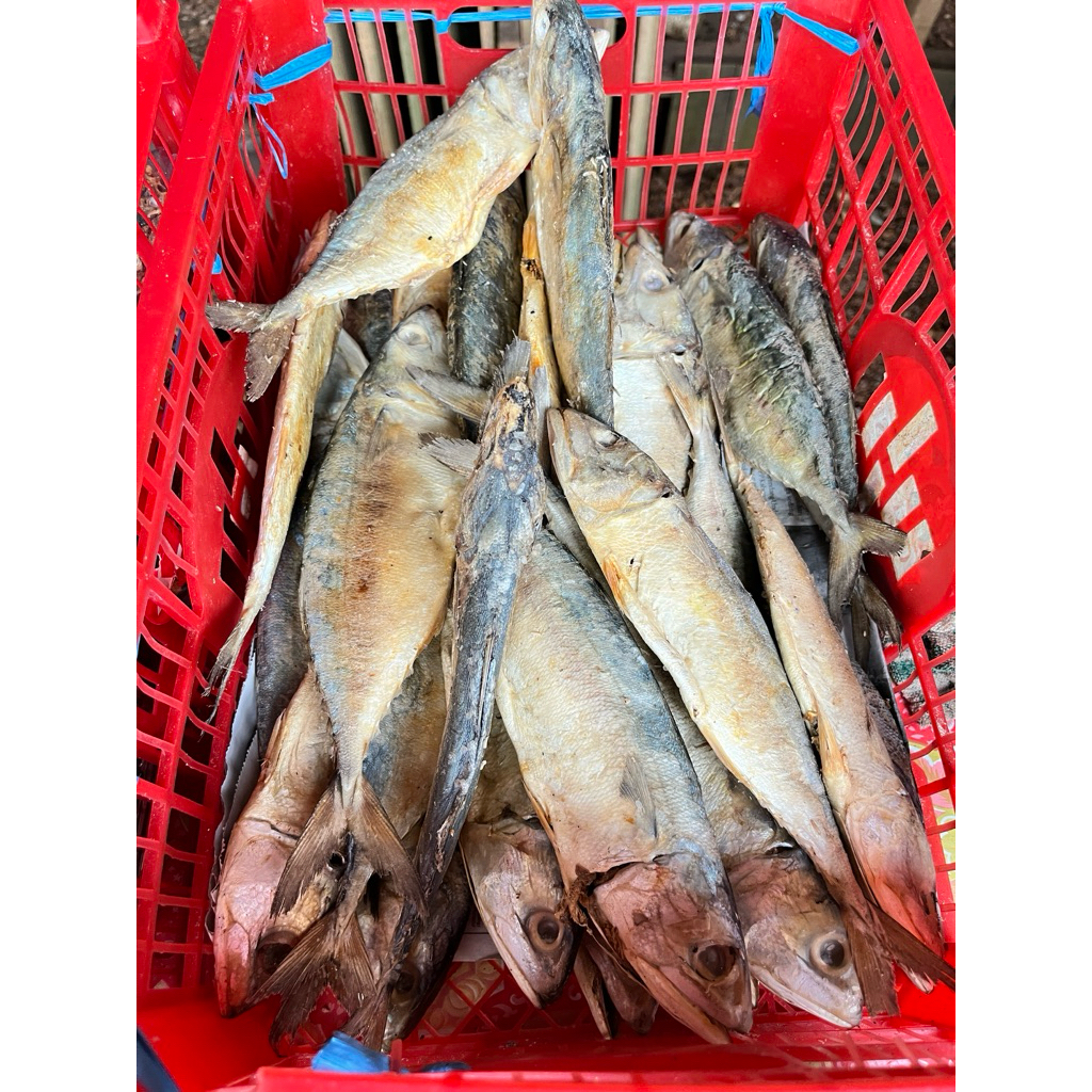 

Peda Kering Asli Tabanio