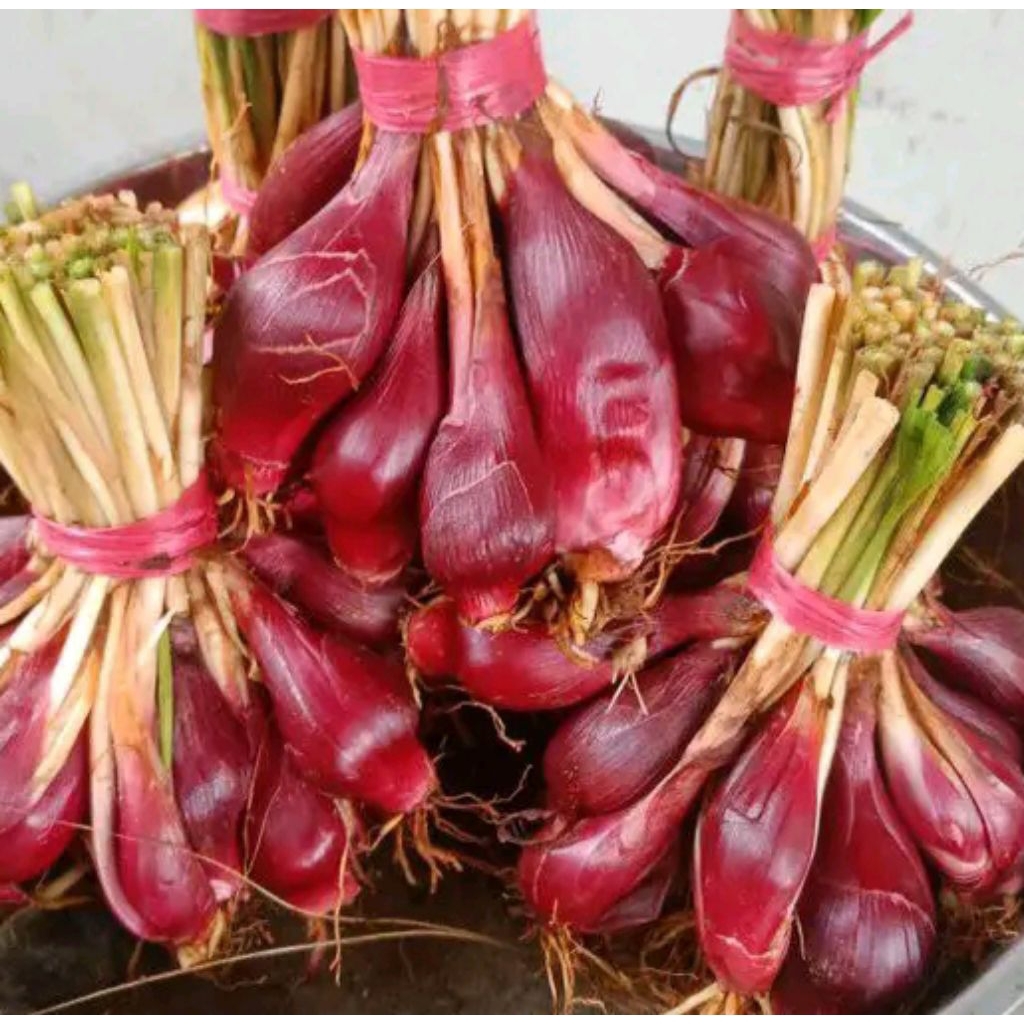 

BAWANG DAYAK segar 1kg