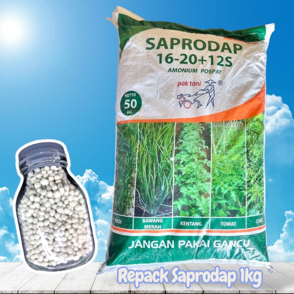 

Pupuk Saprodap 16-20+12S Repack 1KG