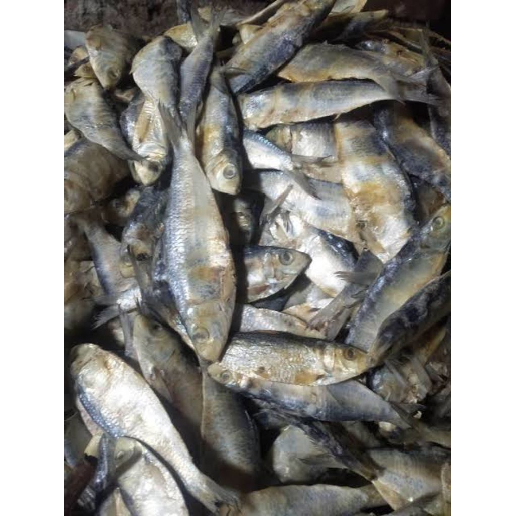 

Ikan Asin Rebus Tamban (Seafood Kering)