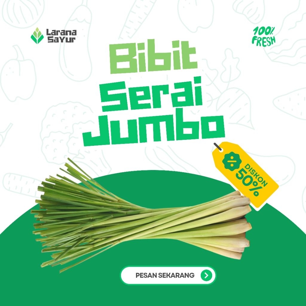 

BIBIT SERAI JUMBO /BATANG
