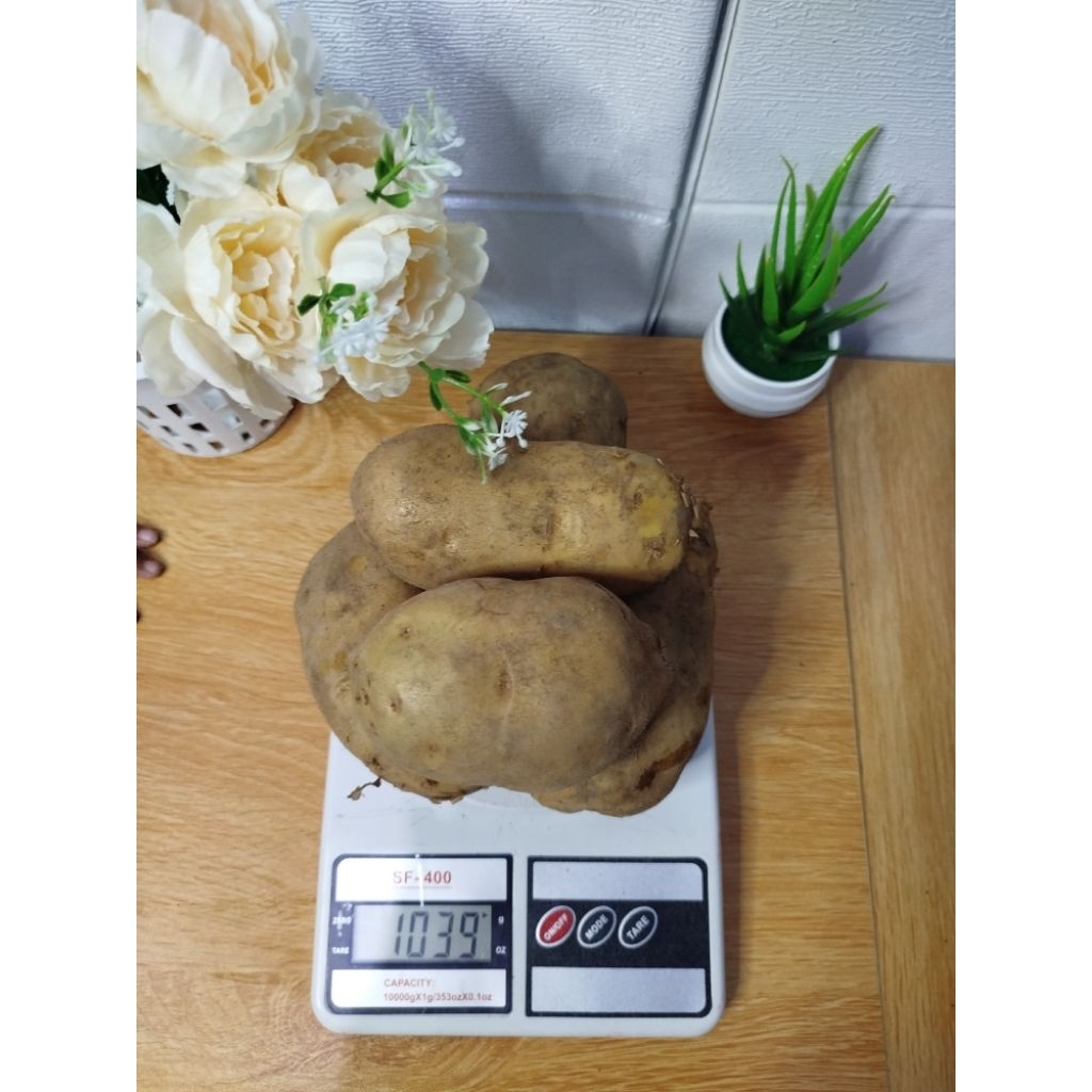 

Kentang Dieng ukuran besar 1kg