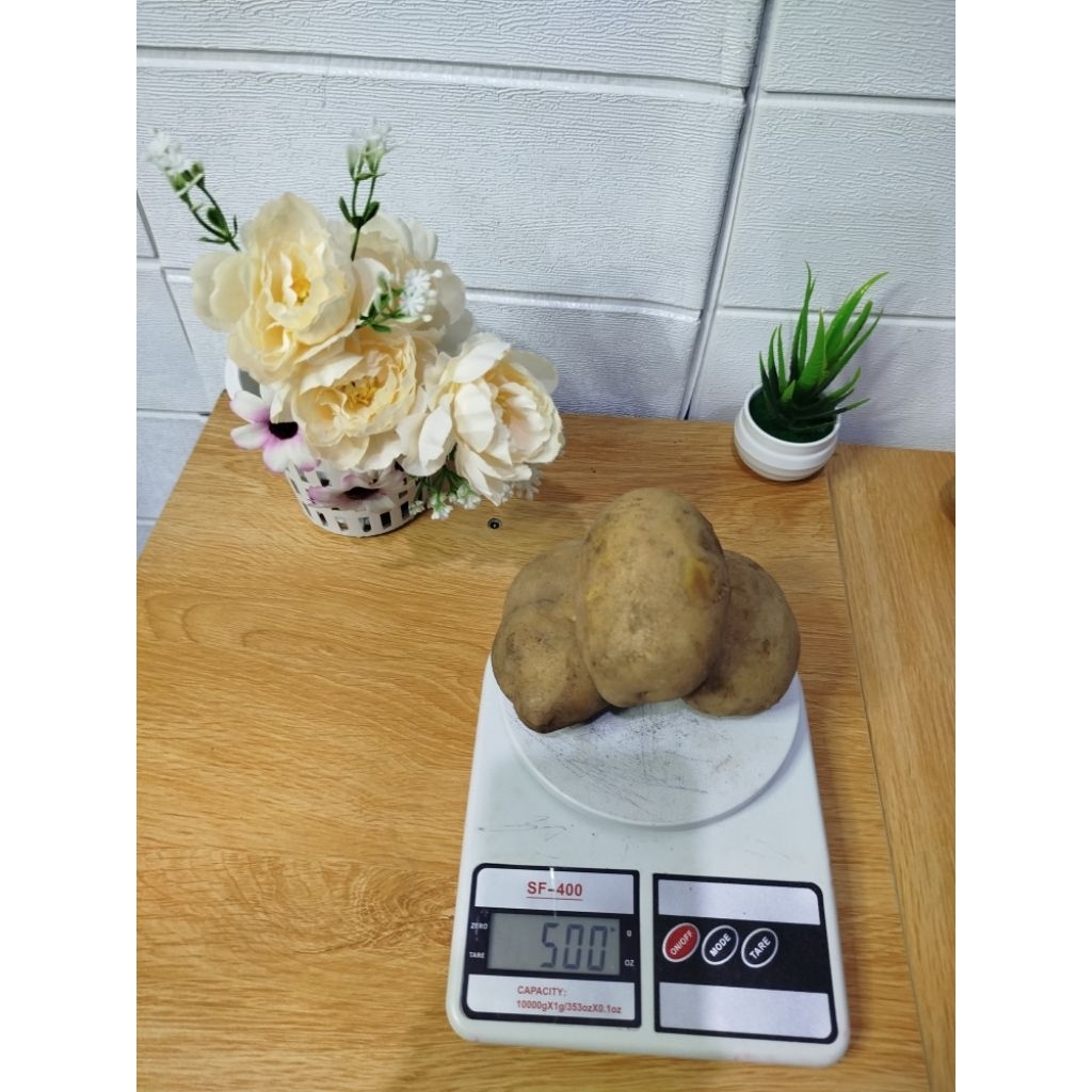 

Kentang Dieng ukuran besar 500 gram