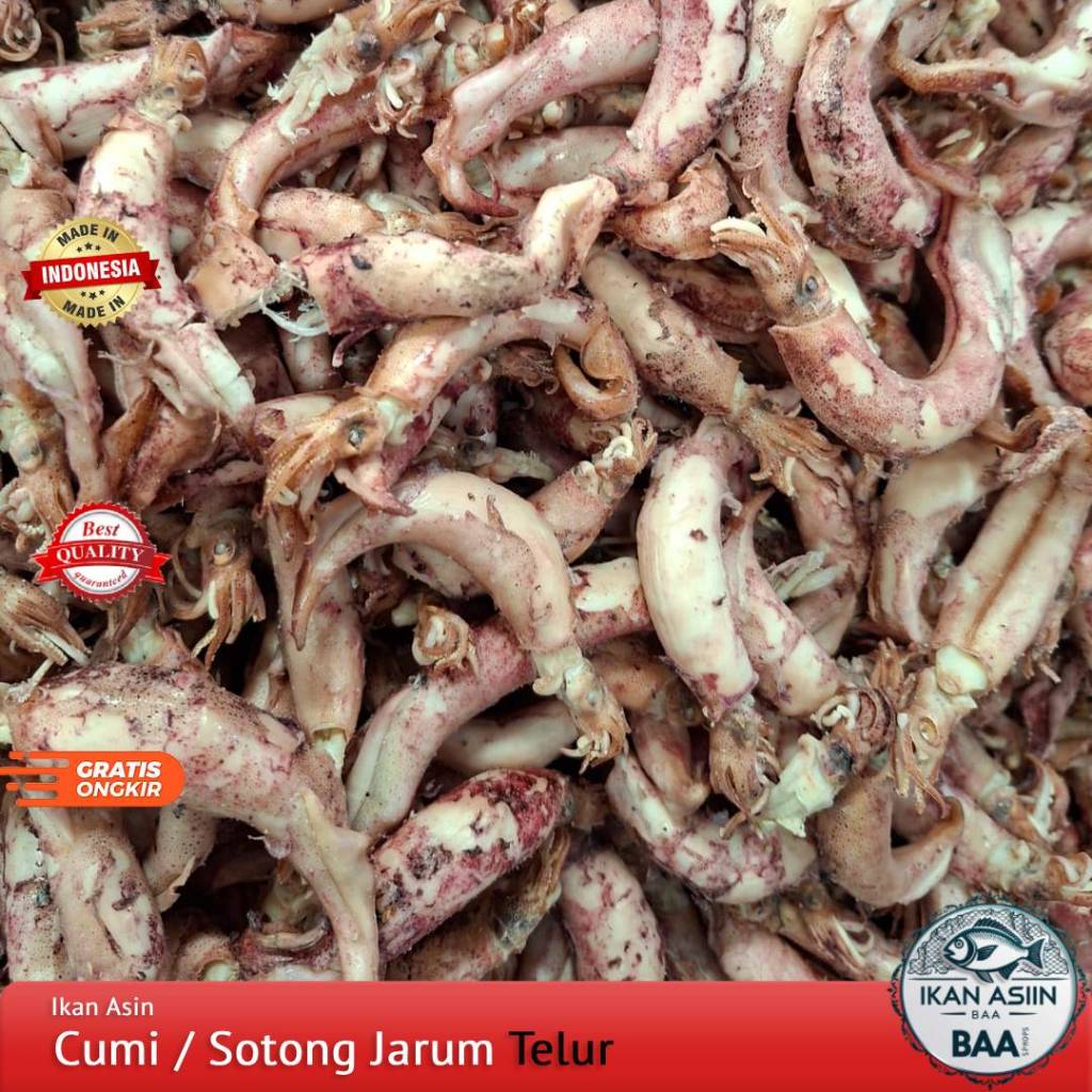

Cumi Jarum Telur Kering / Sotong Telor / Cumi Bertelur 250gram, 500gram, 1kg