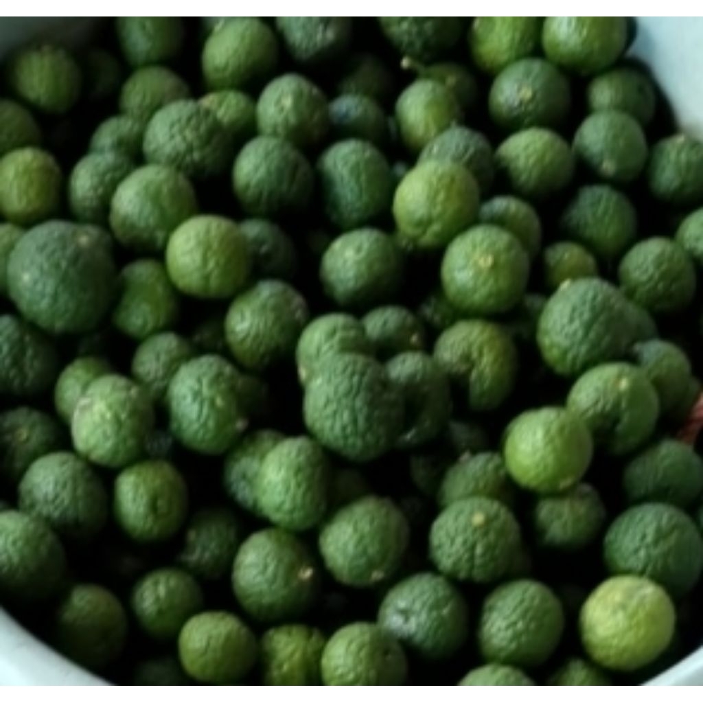 

Jeruk Limau/ Jeruk Sate/ Jeruk Pecel 1 kg