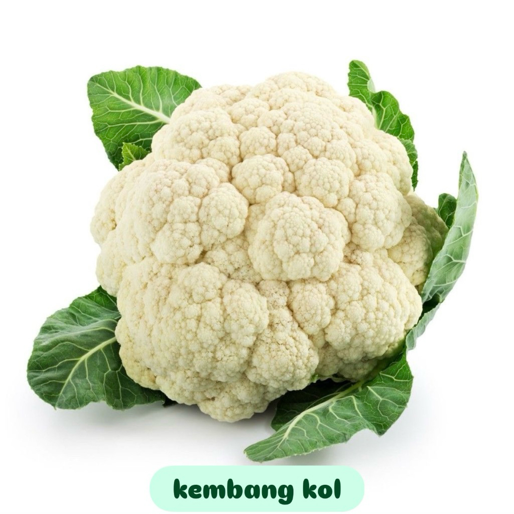 

Kembang Kol fresh 300gr/500gr/1kg