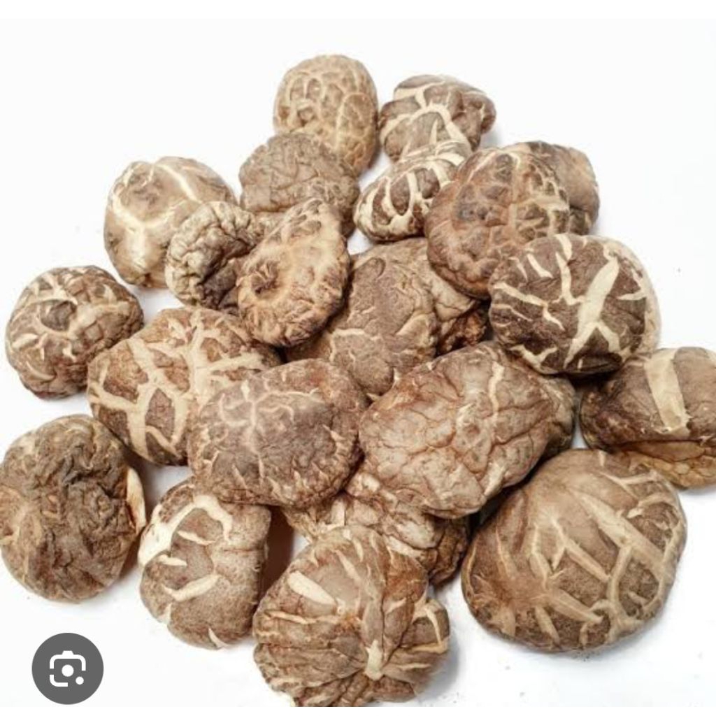 

jamur shintake kering