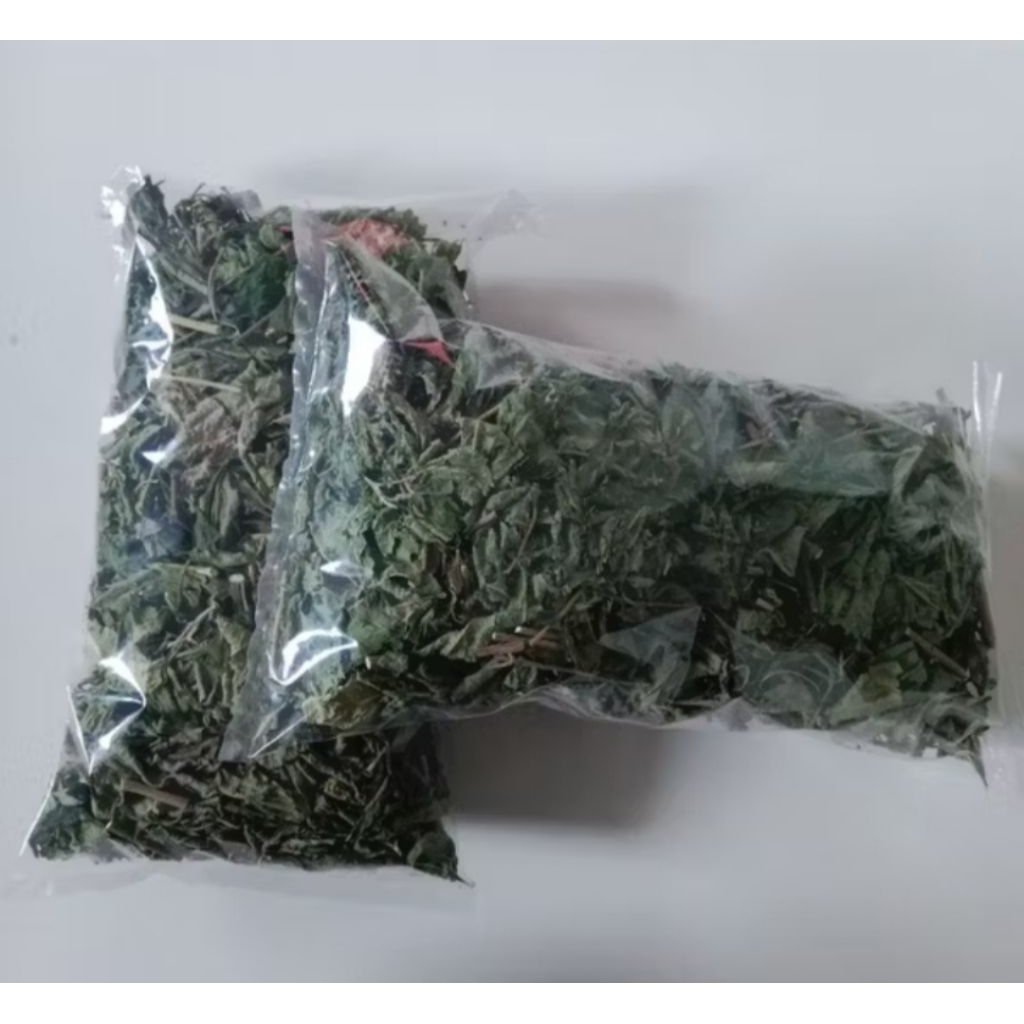 

teh daun balakacida untuk lambung/magg kronis 500gram