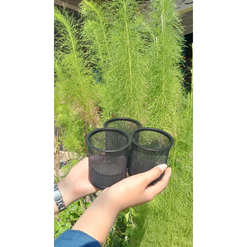 

Tempat Pensil Jaring Joyko DS-16 – Simpel, Elegan, dan Fungsional