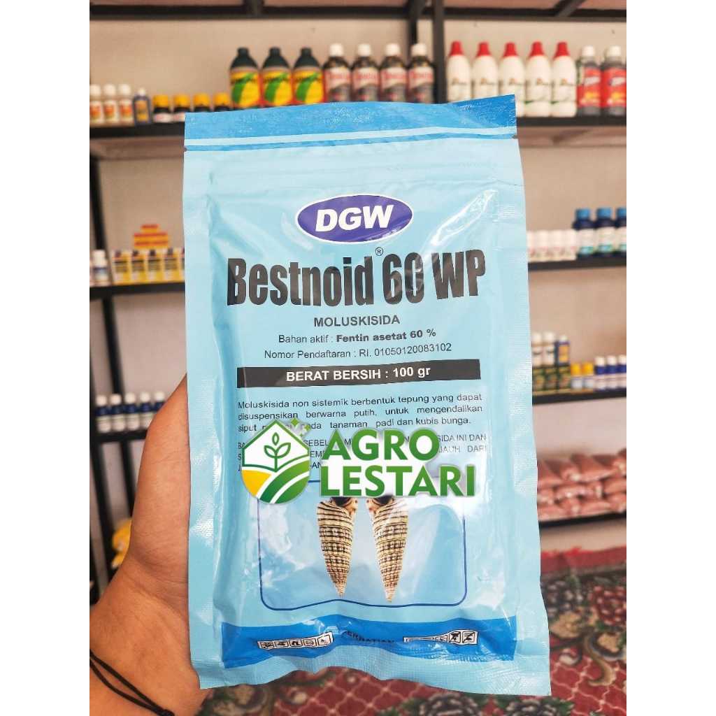 BESTNOID RACUN KEONG 100 GR /DGW