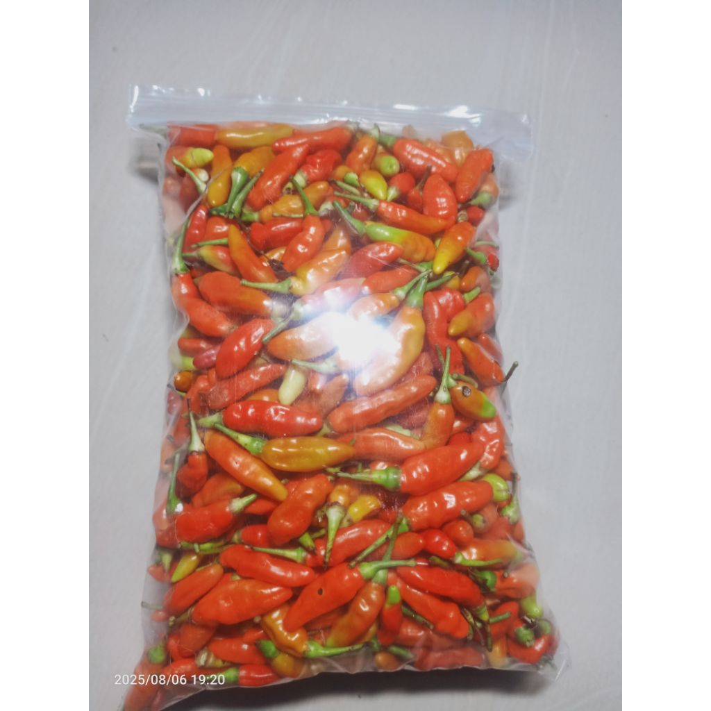 

JUAL CABAI RAWIT MERAH ORI FRESH~Berat:1 Kg,0.5 Kg,0.2 Kg~Tonase Panen Sedang~KELOLA BOGA MART