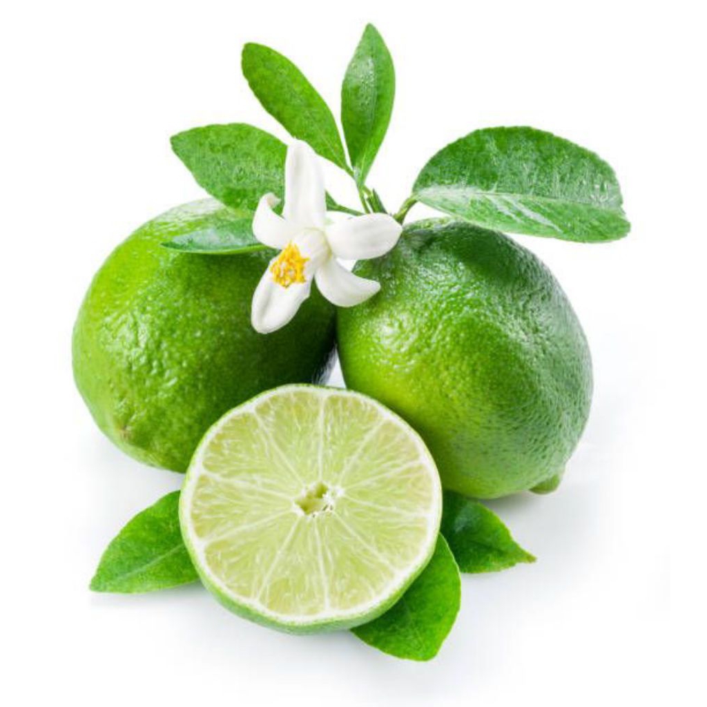 

Jeruk nipis segar / 250 gr