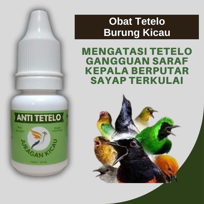 Obat Burung Kicau Tetelo Gemetar Sakit Kejang Dan Sempoyongan