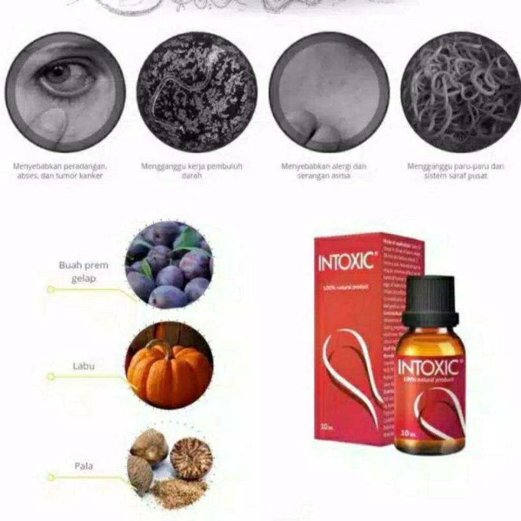 INTOXIC Obat Parasit Ori Original Asli Kutil Cacing Harga - Detocline - Pro Herbarix ProHerbarix - B
