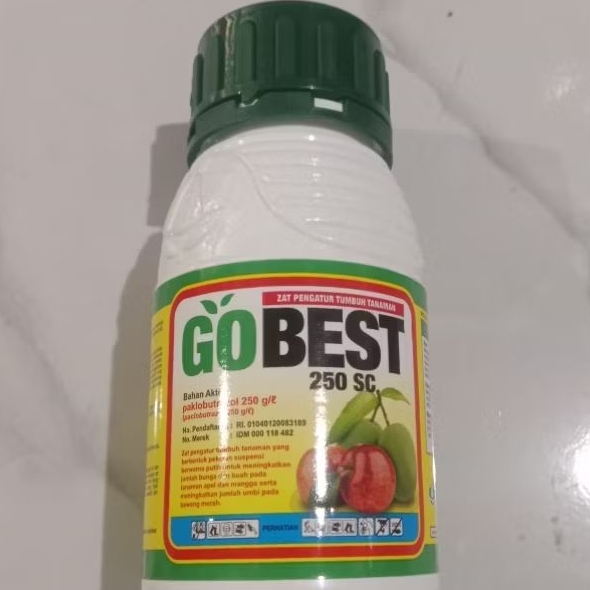 Pembesar buah dan umbi paclobutrazol GOBEST 250SC.