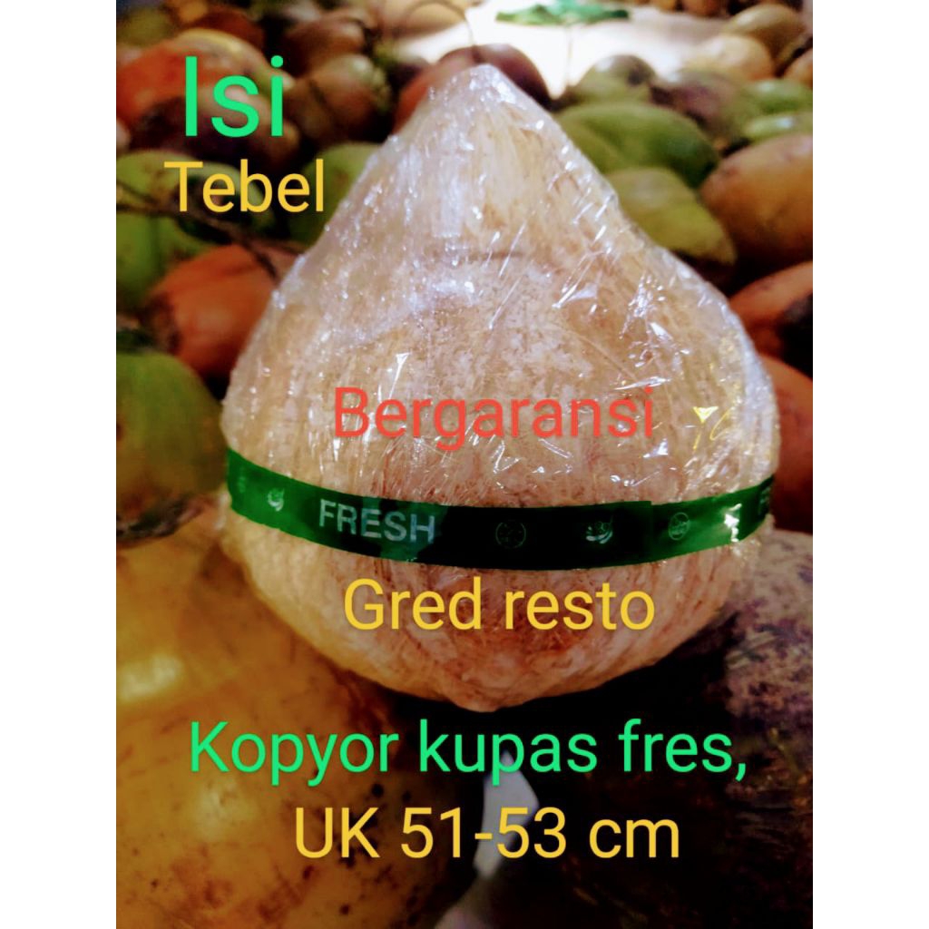 

kopyor fres bergaransi uk50-53 cm kupas plontos berhsransi