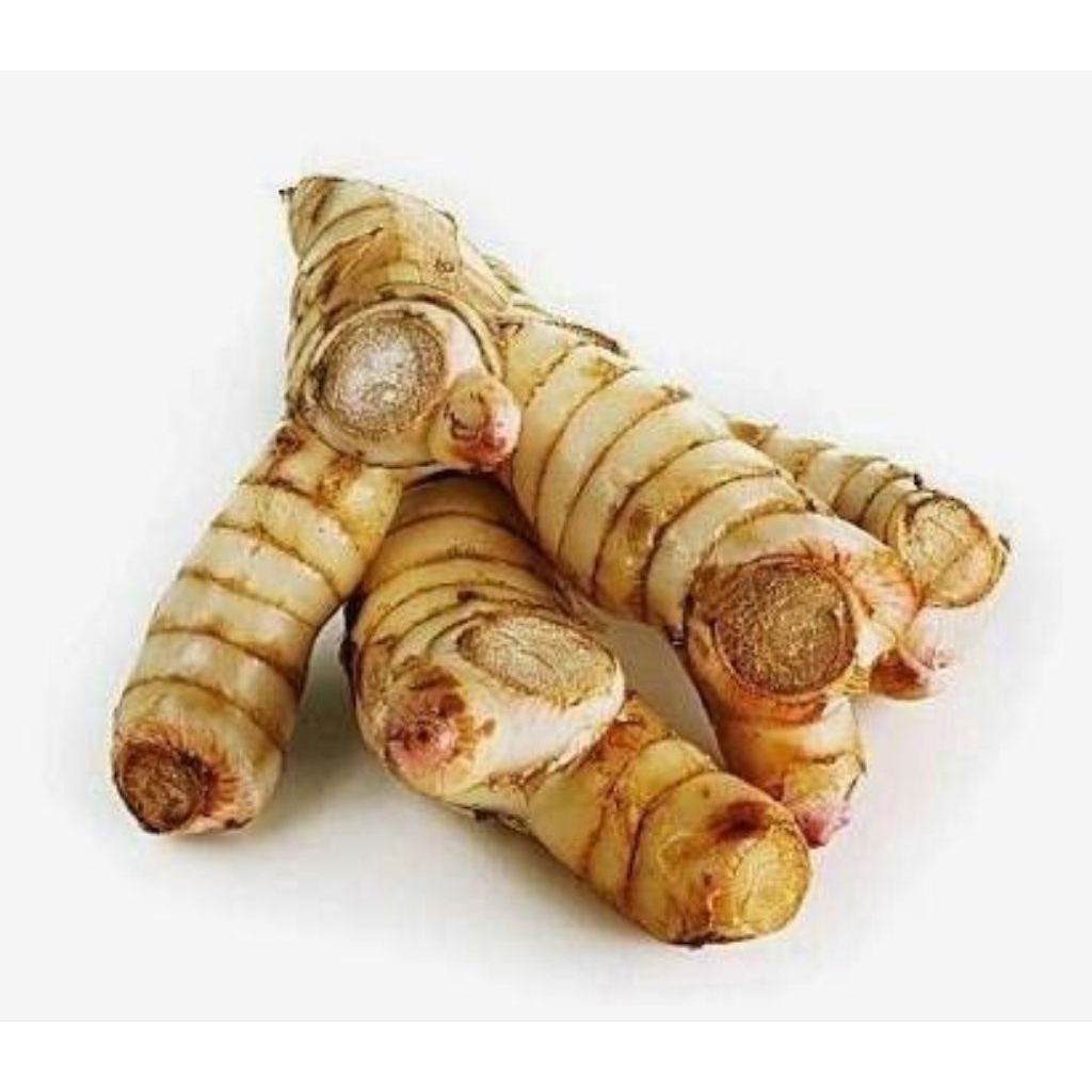 

laos 100 g bumbu rempah segar jogja