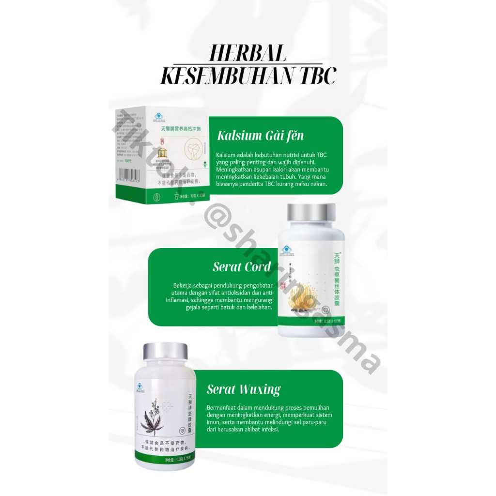 

PAKET AMPUH CEPAT HERBAL CORDY