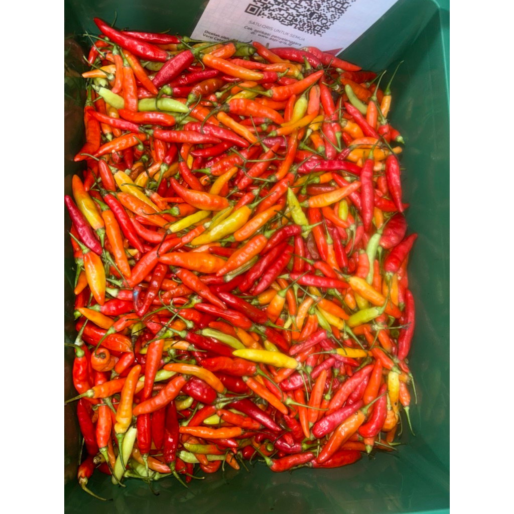 

Cabe Rawit Merah , Sambal Geprek, Cabe Pedes 1kg, 500gr, 250gr