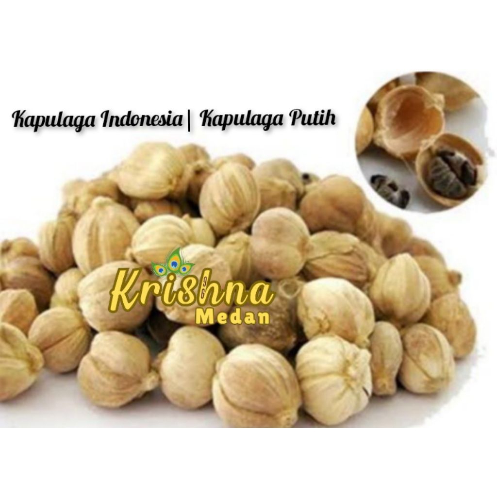 

Kapulaga Indonesia | Kapulaga Putih 10gr