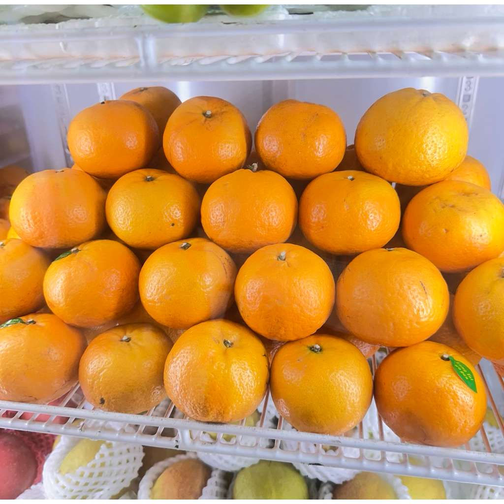 

Jeruk Wogan per 1 kg