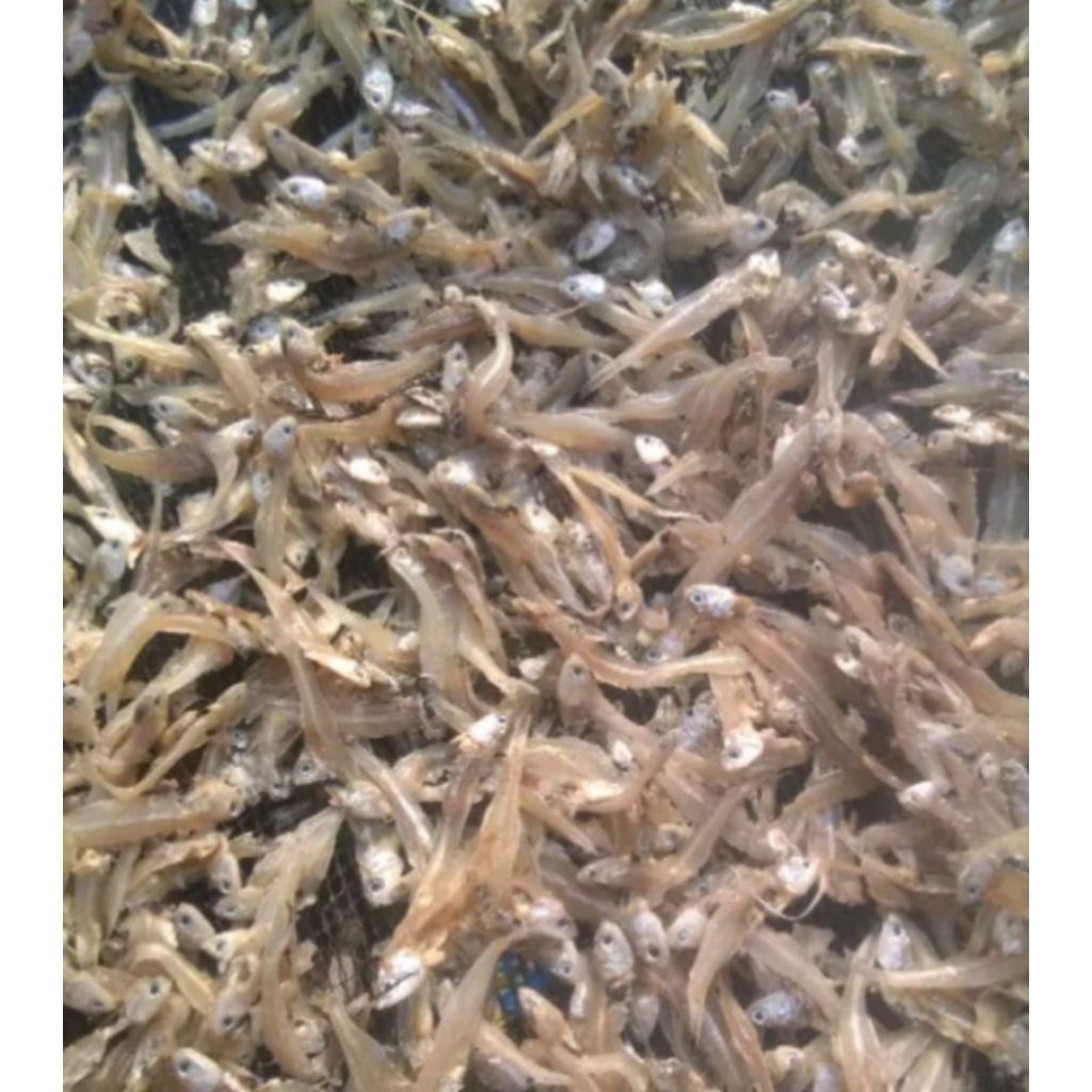 

ikan asin teri berat 100 gram