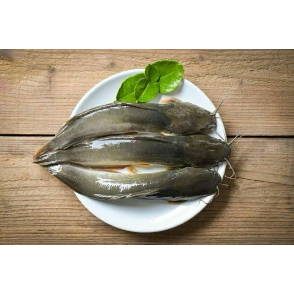 

ikan lele segar 500gr di bersihkan / dipotong