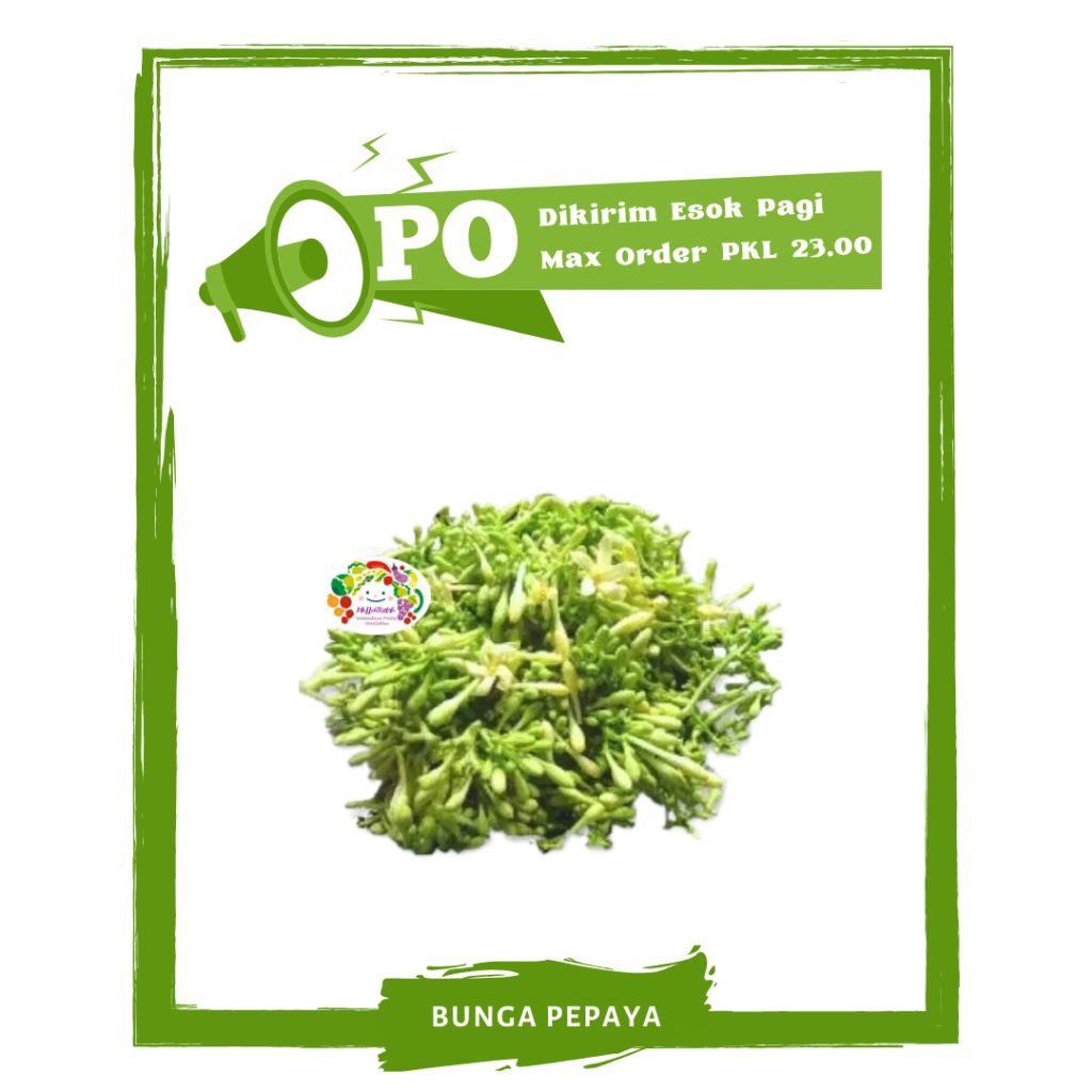 

Bunga Pepaya / Sayur Sayuran Segar PO Mallahrizwa