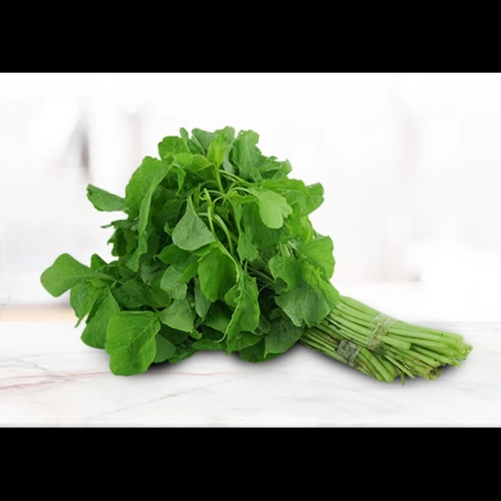 

SAYUR BAYAM FRESH 1 IKAT