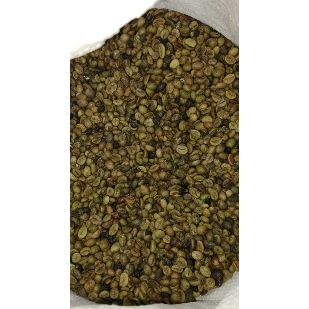 

Kopi Kering Robusta Asalan 1 kg