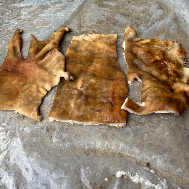 

KULIT DOMBA FULL 1 EKOR UNTUK MASAKAN – Siap Olah | Kerupuk Kulit - Gulai Kulit