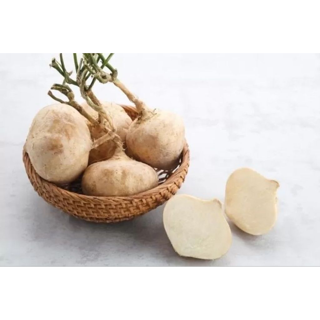 

buah bengkoang / bengkuang segar murah