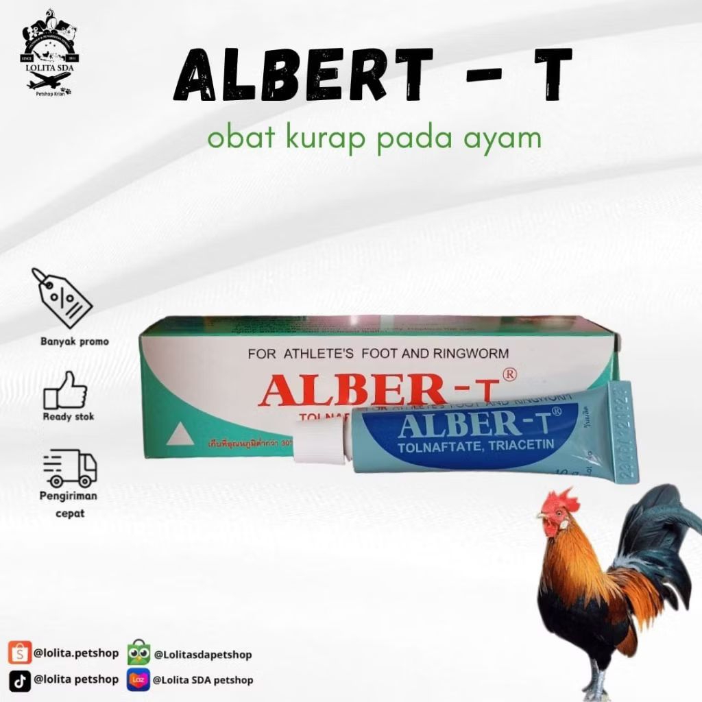 Alber-t / Albert / ALBER-T / obat korep / obat korep ayam