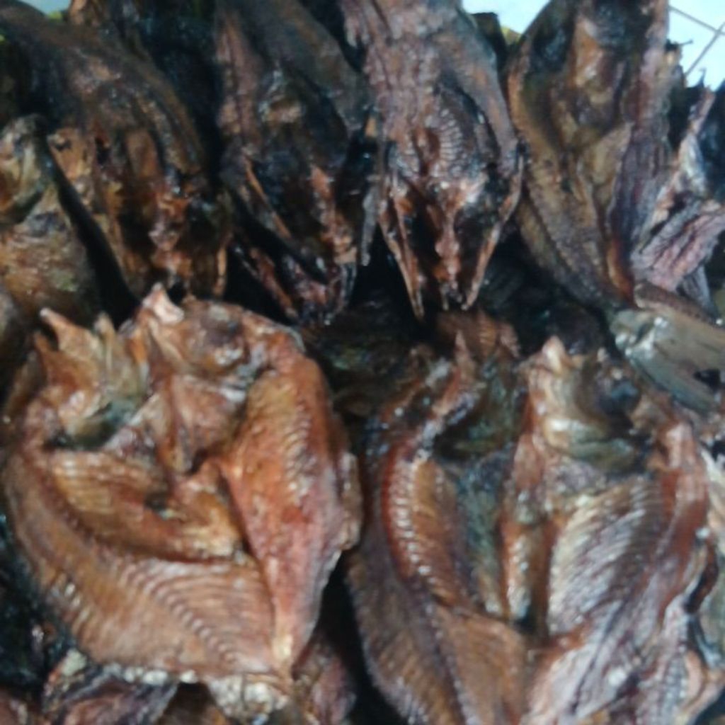 

ikan salai nila,lele, patin