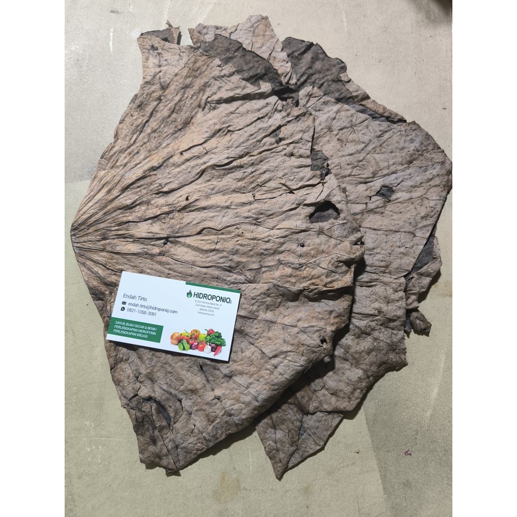 

Daun teratai kering bungkus Lo ma Gai 250gr