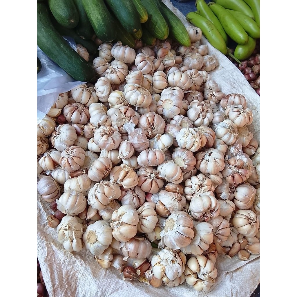 

Bawang Putih 1kg COD Murah Fresh Packing Kardus