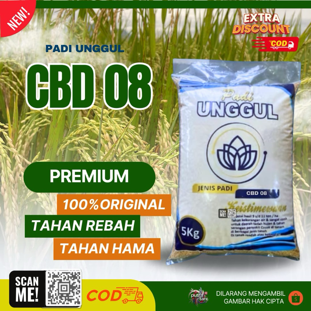 PADI UNGGUL CBD 08 Kemasan 5 KG