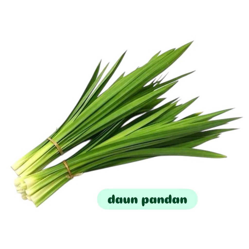 

Daun Pandan Fresh Hijau per ikat