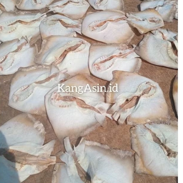 

ASIN LALAY/ikan asin Lalay 250gr