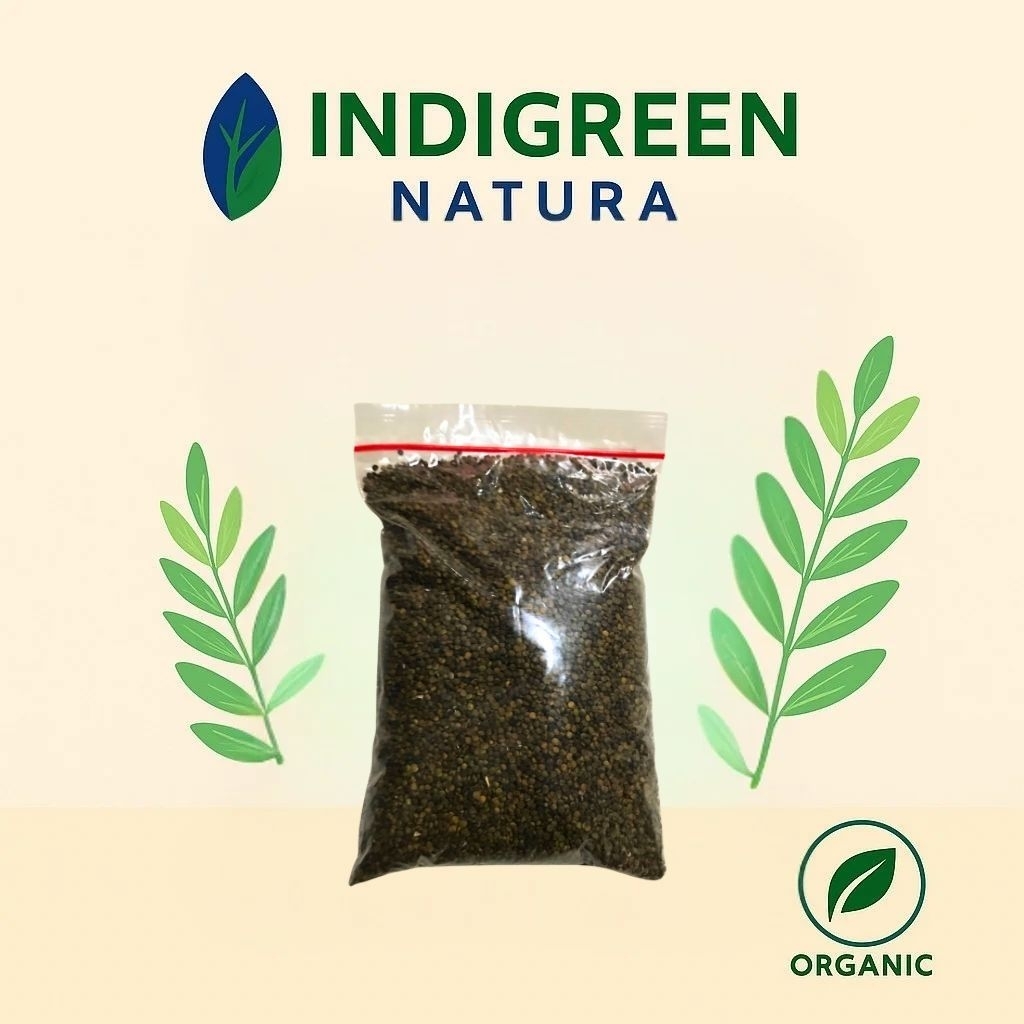 IndiSeed Benih Indigofera Benih Tanaman Indigofera Siap Tanam